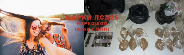 стафф Алзамай