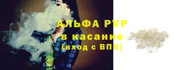 стафф Алзамай