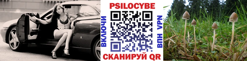 OMG tor  Могоча  Псилоцибиновые грибы мухоморы  магазин  наркотиков 
